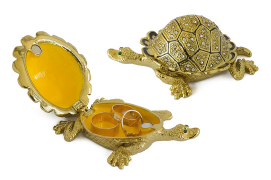 Turtle - metal  box for jewelry