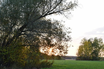 Obraz premium Осенний вечер 