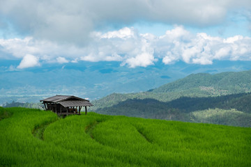 Fototapeta na wymiar Rice field, Rural mountain view, Beautiful landscape