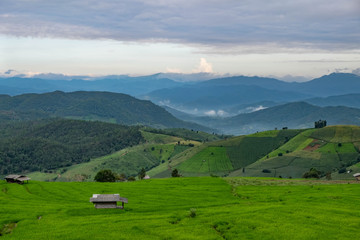 Fototapeta na wymiar Rice field, Rural mountain view, Beautiful landscape