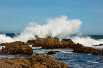 Wave