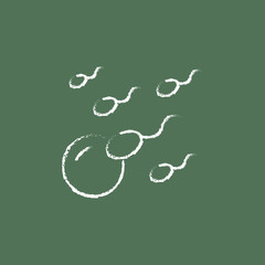 Fertilization icon drawn in chalk.