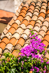Purple flowers on Mediterranean roof tiles
