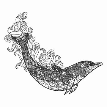 Hand drawn dolphin for adult anti stress Coloring Page with high details isolated on white background, illustration in zentangle style. Vector monochrome sketch.