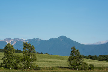 北海道の大地