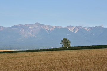 北海道の大地