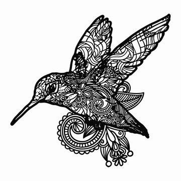 Hand drawn Bird for adult anti stress Coloring Page with high details isolated on white background, illustration in zentangle style. Vector monochrome sketch.
