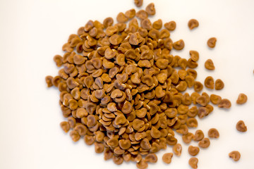 Seeds