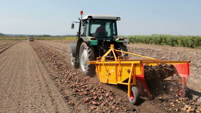 Tractor and potato harvester