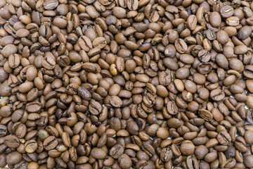 Roasted brown coffee beans, can be used as a background and text