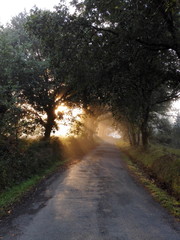 Fototapeta premium Sunrise on Camino de Santiago