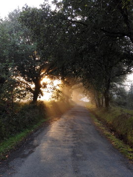 Sunrise on Camino de Santiago