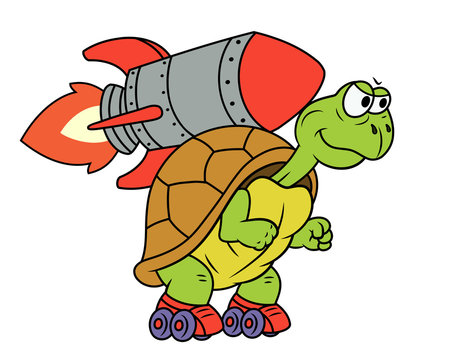 Turtle with rocket