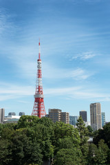 Fototapeta premium 東京タワーと秋空