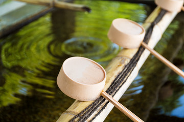 Traditional bamboo water scoop