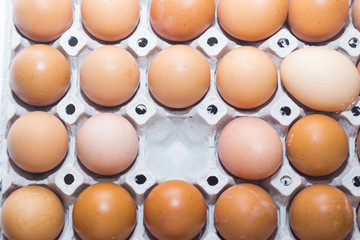 Cardboard egg box and many eggs

