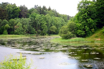 Green lake in Vilnius city near Santariskes
