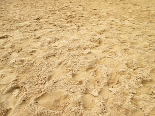 sea sand with footprints