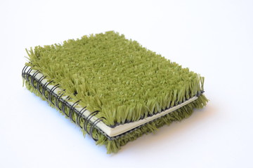 Book with Green Cover