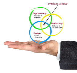 Diagram of product success