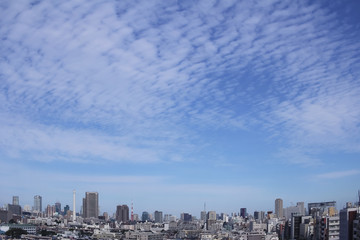Views of the Tokyo residential area