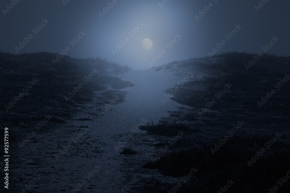 Wall mural Sea dune path at night