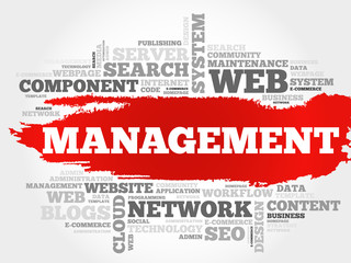 MANAGEMENT word cloud, business concept