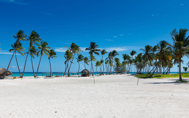 Obraz premium Tropical landscape
