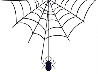 Spinnennetz Spinnenweben Spinne Spider