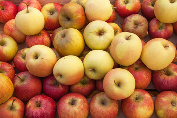 Pommes de couleurs différentes en vrac 