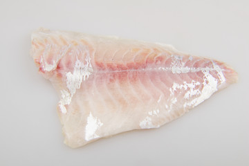 Seabream fish fillet