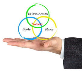 Diagram of success