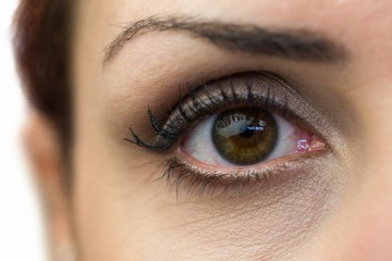 Obraz premium Close-up portrait of woman eye 