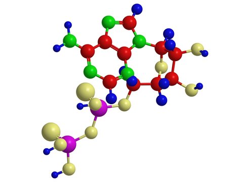 Molecular structure of adenosine diphosphate