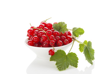 Red currant.