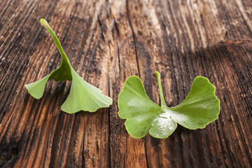 Ginkgo biloba on wooden background.