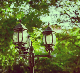 vintage style picture with old street lamp in the park