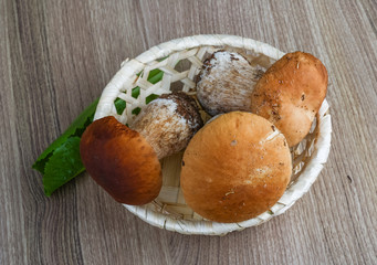 Wild Mushrooms