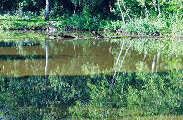 Obraz premium Summer lake.