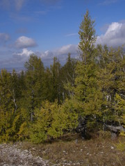 Obraz premium Торгашинский хребет