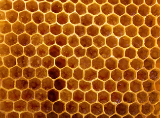 Honeycomb