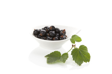 Delicious black currant.