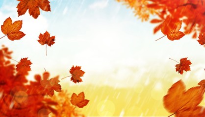 Naklejka na ściany i meble Composite image of autumn leaves
