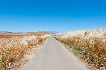 Road to the Mount Etna