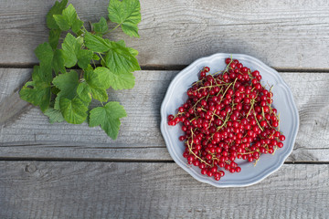 red currant