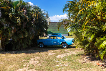 Cuba