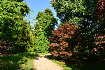 An English country garden in the Fall.