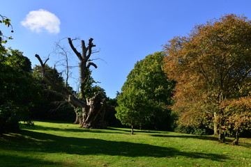 An English country garden in the Fall.