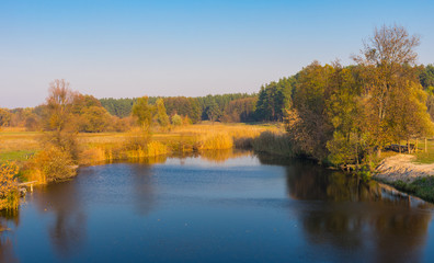 Naklejka na ściany i meble Peaceful autumnal afternoon on a Grun (right inflow of Psel) river in Poltavskaya oblast, Ukraine