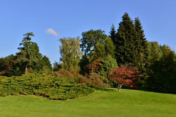 Fototapeta na wymiar An English country garden in the Fall.